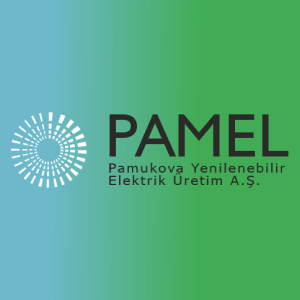 PAMEL logo
